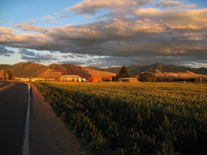 missoula-biking