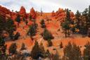 Red Canyon 2