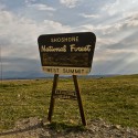 Shoshone National Forest Sign