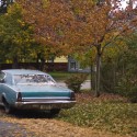 leaves-car1