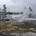 norris-geyser-basin-21