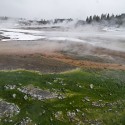 norris-geyser-basin-24