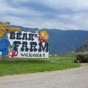 Bear's Farm