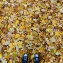 Shoes and Leaves