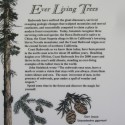 Redwoods Sign